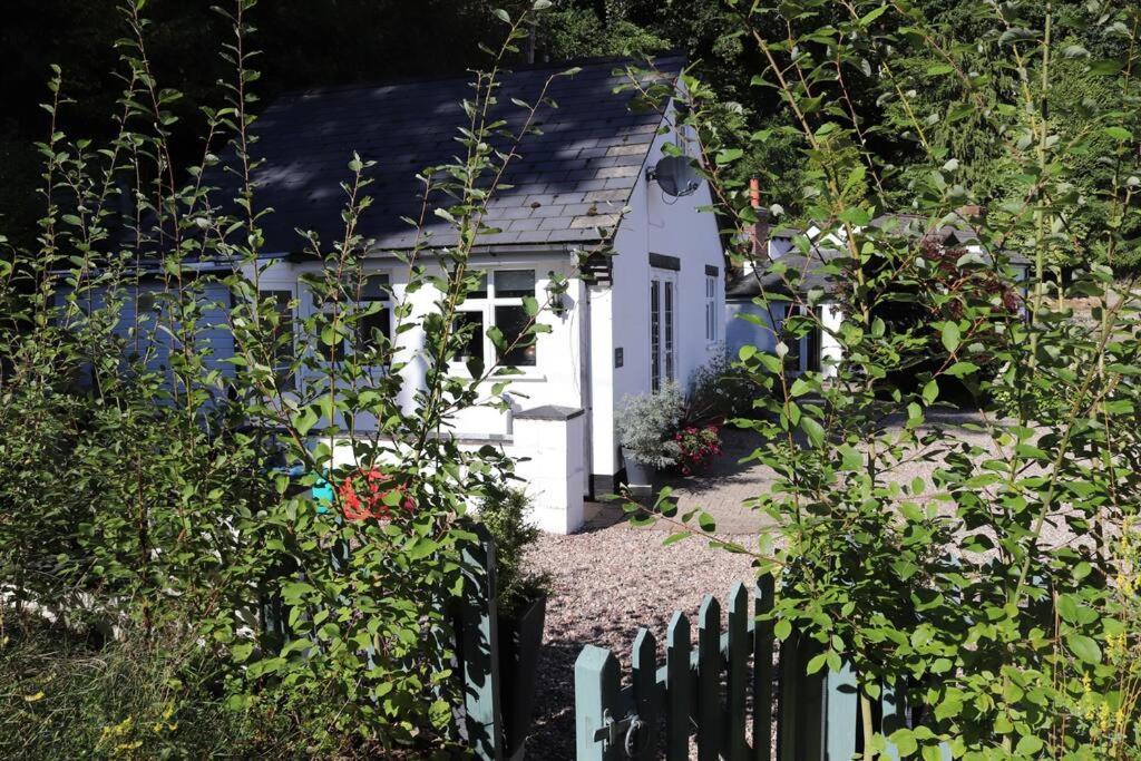 Garn Lodge Newtown  Zewnętrze zdjęcie